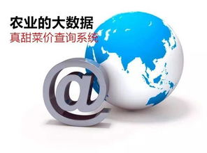 農業信息革命 告別“現代社會原始人”，擁抱“真甜菜價查詢系統”的魔力